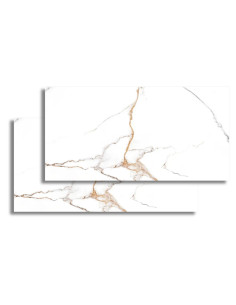 Gran Marmi Delux 60x120